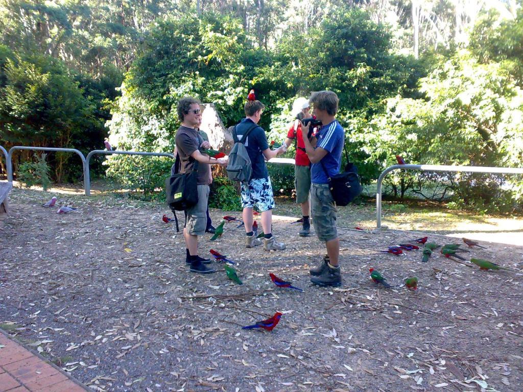 Batemans Bay Holiday Park & Hostel Екстериор снимка